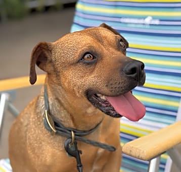 Photo of Buster