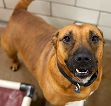 Photo of Belle