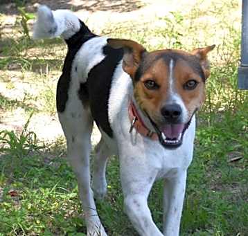 Photo of Scotty