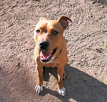 Photo of Charlie
