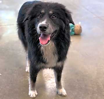 Photo of Leela