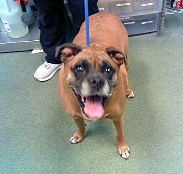 Photo of MABEL