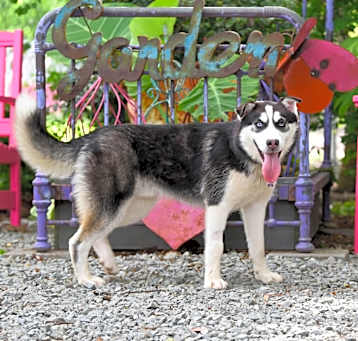 Photo of Watchman