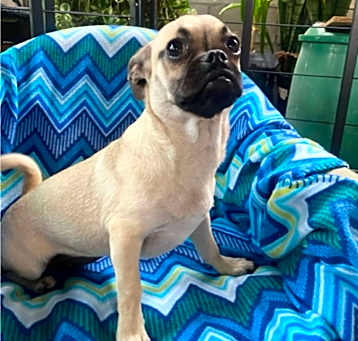 Photo of MOLLY