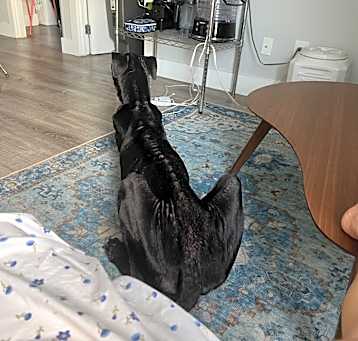Photo of shadow