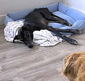 Photo of shadow