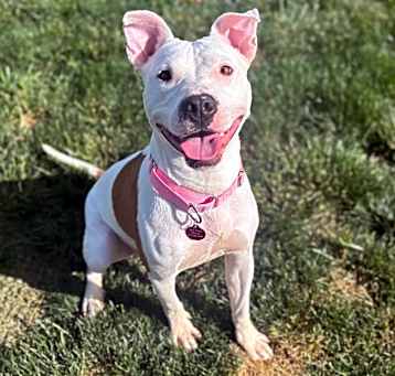 Photo of Peppa