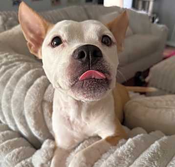 Photo of Maggie