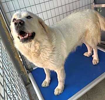 Photo of CLOUD