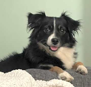 Photo of Luna