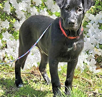 Photo of ROWDY