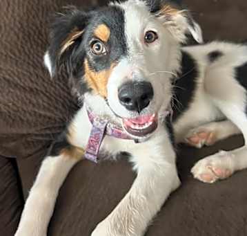 Photo of Macy