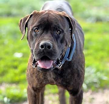 Photo of Clyde(sdale)