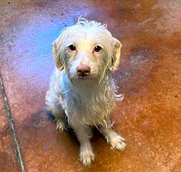 Photo of Cloud