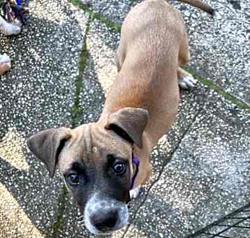 Photo of Kiki