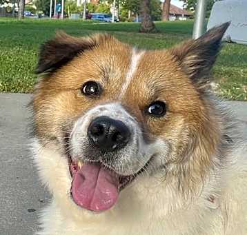 Photo of Lenny