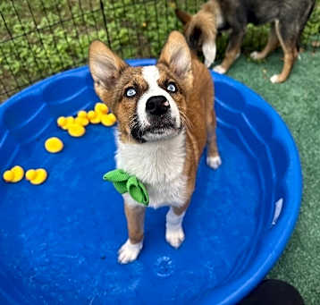 Photo of Clementine Cutie