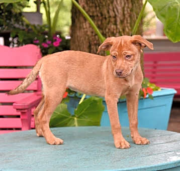Photo of Livia