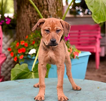 Photo of Sybil