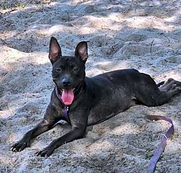 Photo of Diamond