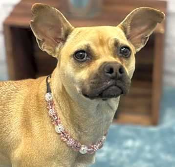 Photo of Pru