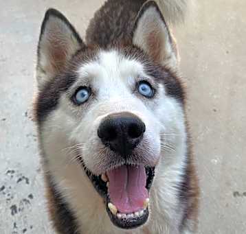 Photo of Kelvin(Luca)