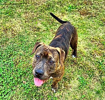 Photo of ATHENA