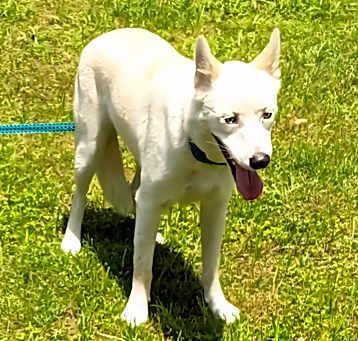 Photo of Ghost