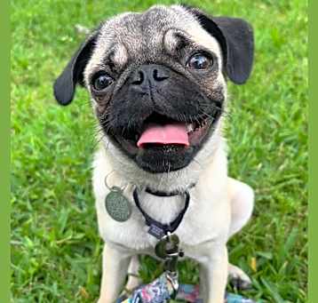 Photo of Dottie