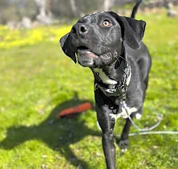 Photo of Booger