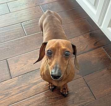 Photo of Silvio
