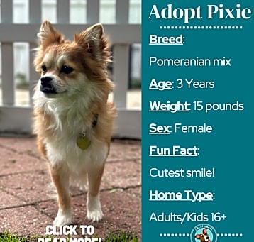 Photo of Pixie