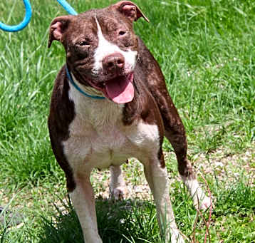 Photo of Precious (Photos 5/8/2025)