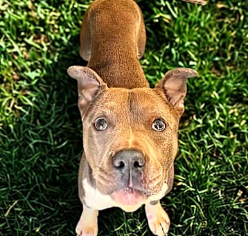 Photo of Hamm