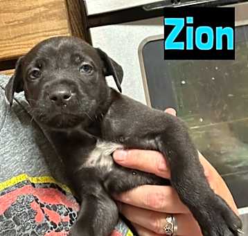 Photo of Zion