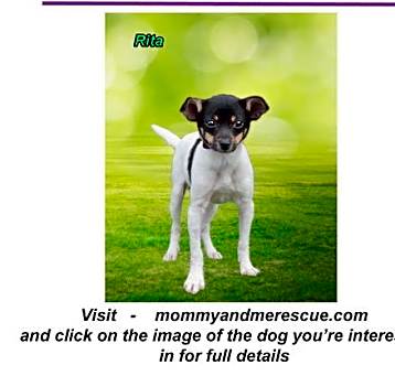 Photo of Rita