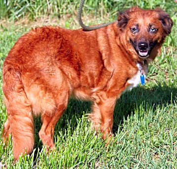 Photo of Lacie