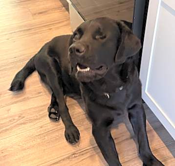 Photo of Asher