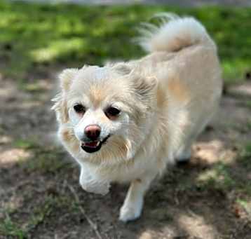 Photo of Daisy Belle