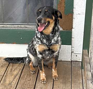 Photo of Xena