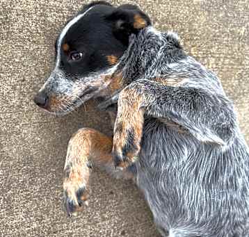 Photo of Stormy