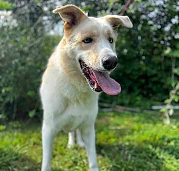 Photo of Dug