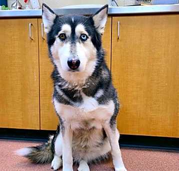 Photo of NOVA