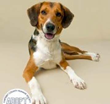 Photo of Bucky