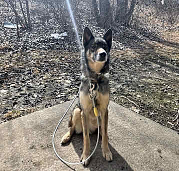 Photo of Athena