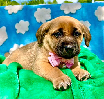 Photo of Gracylyn