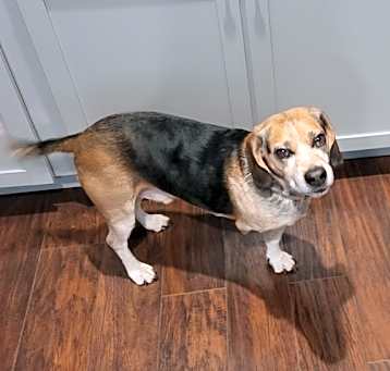 Photo of Gus