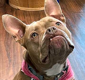 Photo of Beatrice