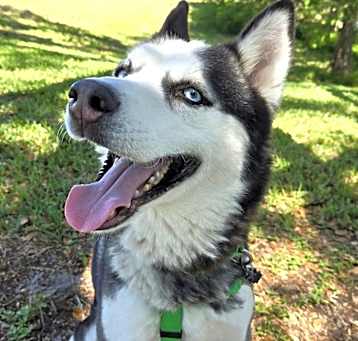 Photo of Bella