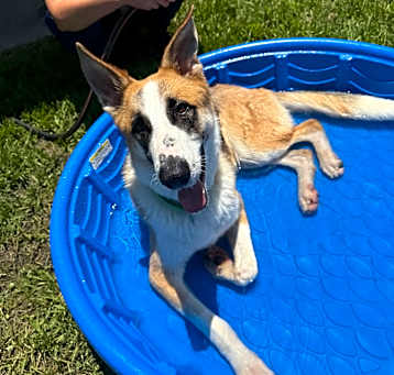 Photo of Ghost